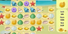 Shell Challenge Puzzle Game